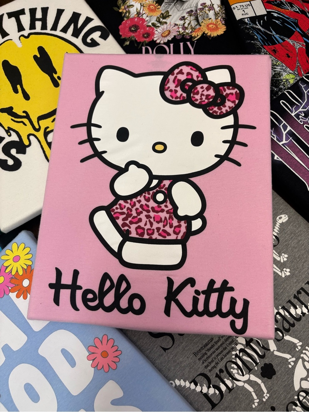 Hello Kitty Pink Canvas Wall Art | Pink & Leopard Decor
